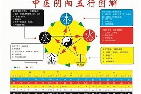 晞五行|晞字的五行属性